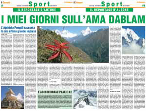 Il Domani